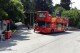 Corfou City Sightseeing Tour All Line - Billet 24 heures