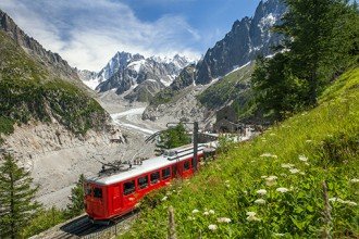 Excursion d'une demi-journée à Chamonix Mont Blanc en train de montagne au départ de Genève