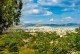 Atene e Pireo Sightseeing Tour 24 Ore